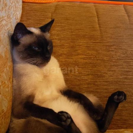 Armen'S B&B セヴァン エクステリア 写真
