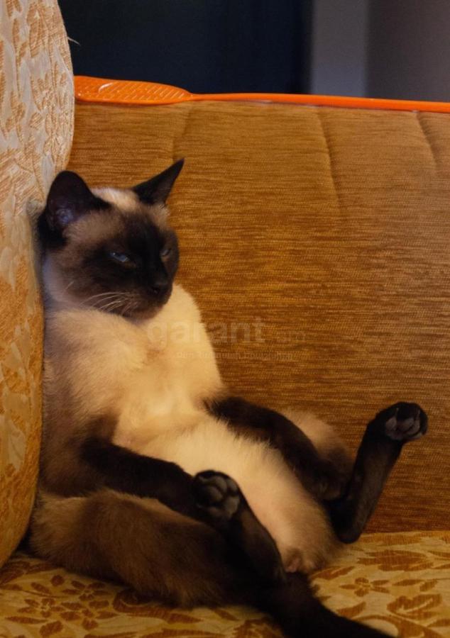 Armen'S B&B セヴァン エクステリア 写真